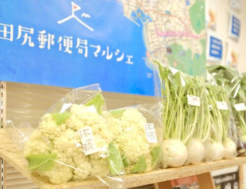 「田尻郵便局マルシェ」にイタリア野菜が並びました