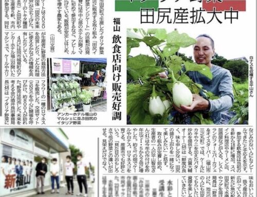 田尻イタリア野菜シンジケート「中国新聞」と「ひろしま満点ママ」で大特集
