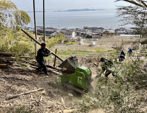 耕作放棄地の竹藪伐採作業その３
